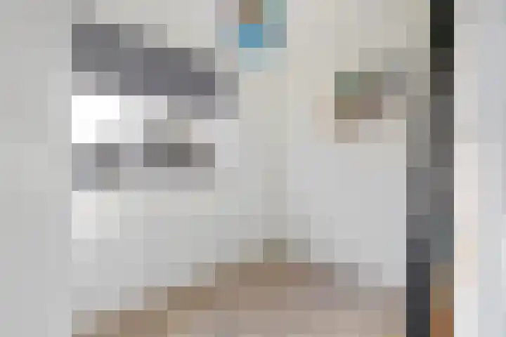 Haagbeuk 25 Venlo thumbnail 32