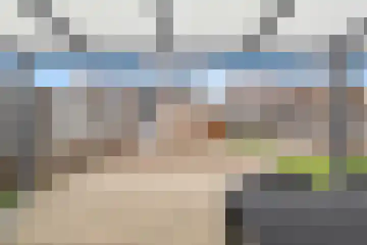 Haagbeuk 25 Venlo thumbnail 38