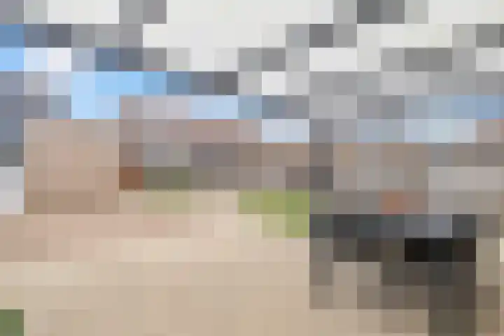 Haagbeuk 25 Venlo thumbnail 39