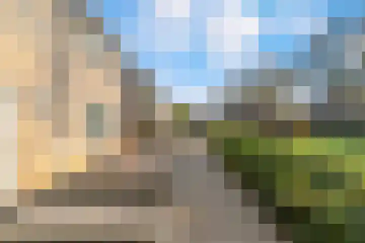 Haagbeuk 25 Venlo thumbnail 4