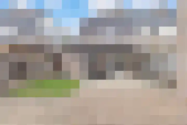 Haagbeuk 25 Venlo thumbnail 40