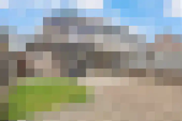 Haagbeuk 25 Venlo thumbnail 41
