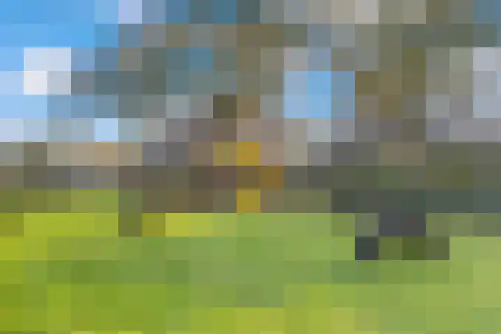 Haagbeuk 25 Venlo thumbnail 5