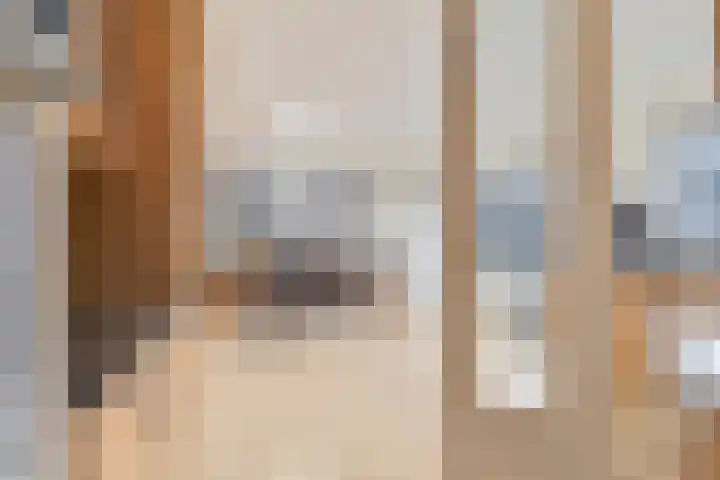Haagbeuk 25 Venlo thumbnail 8
