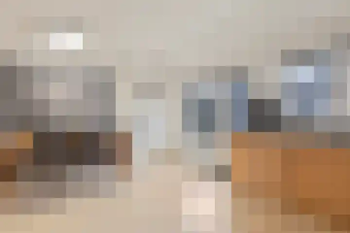 Haagbeuk 25 Venlo thumbnail 9
