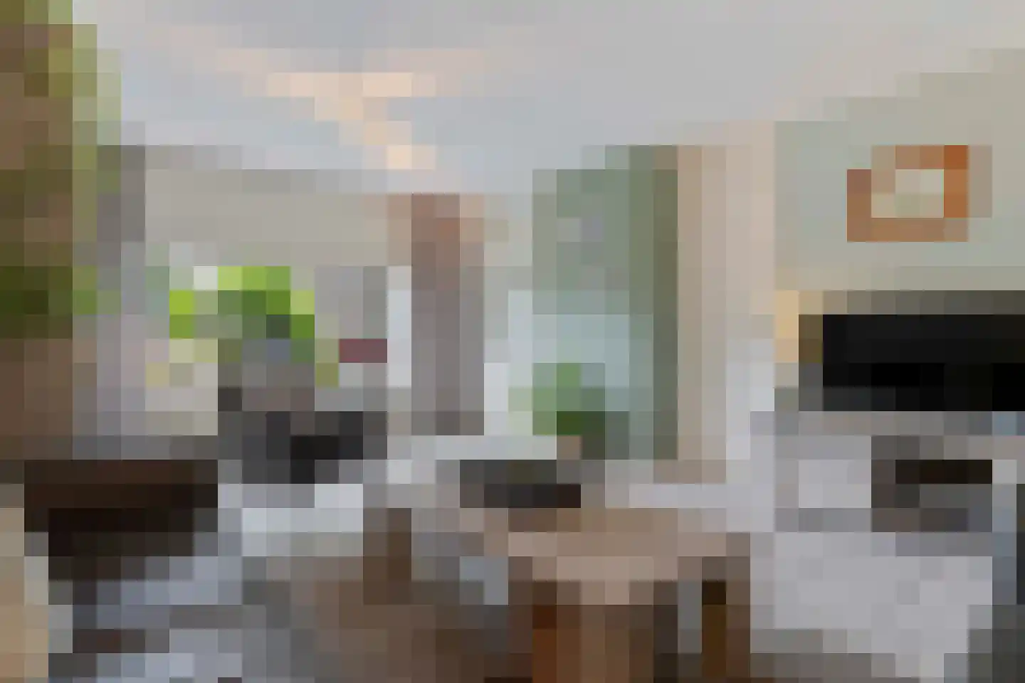 Haagbeuk 61 Venlo thumbnail 10
