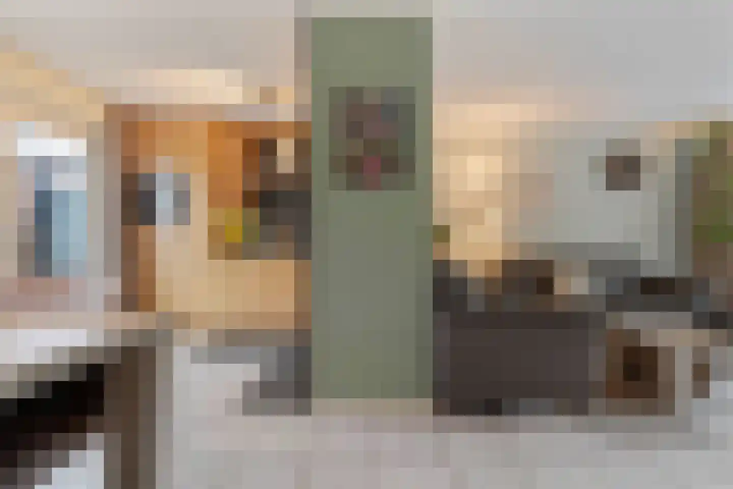 Haagbeuk 61 Venlo thumbnail 12