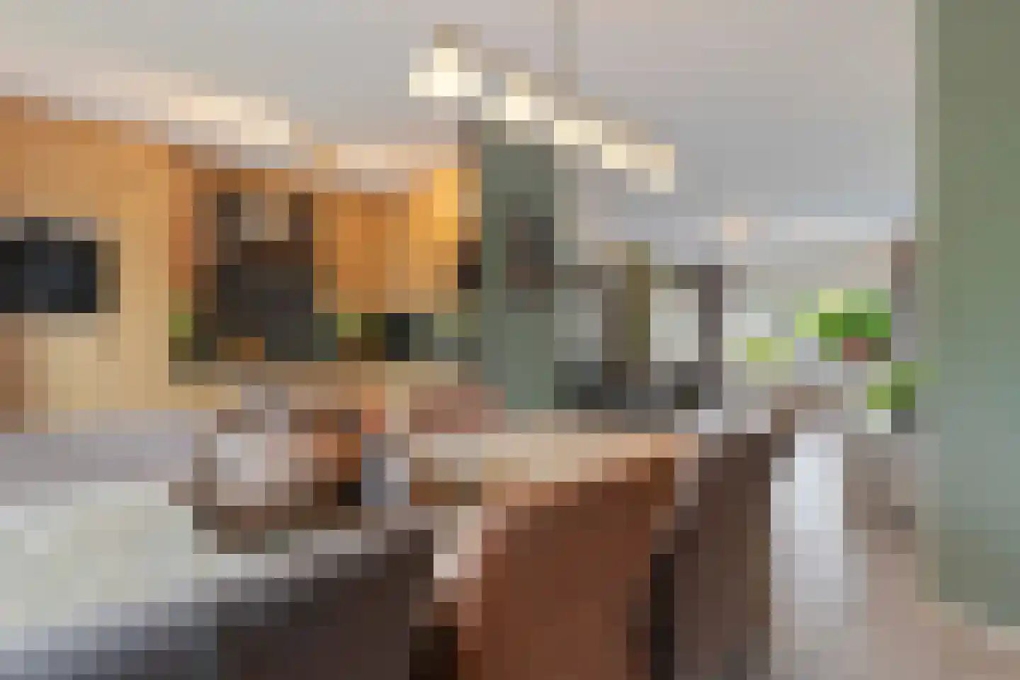 Haagbeuk 61 Venlo thumbnail 14