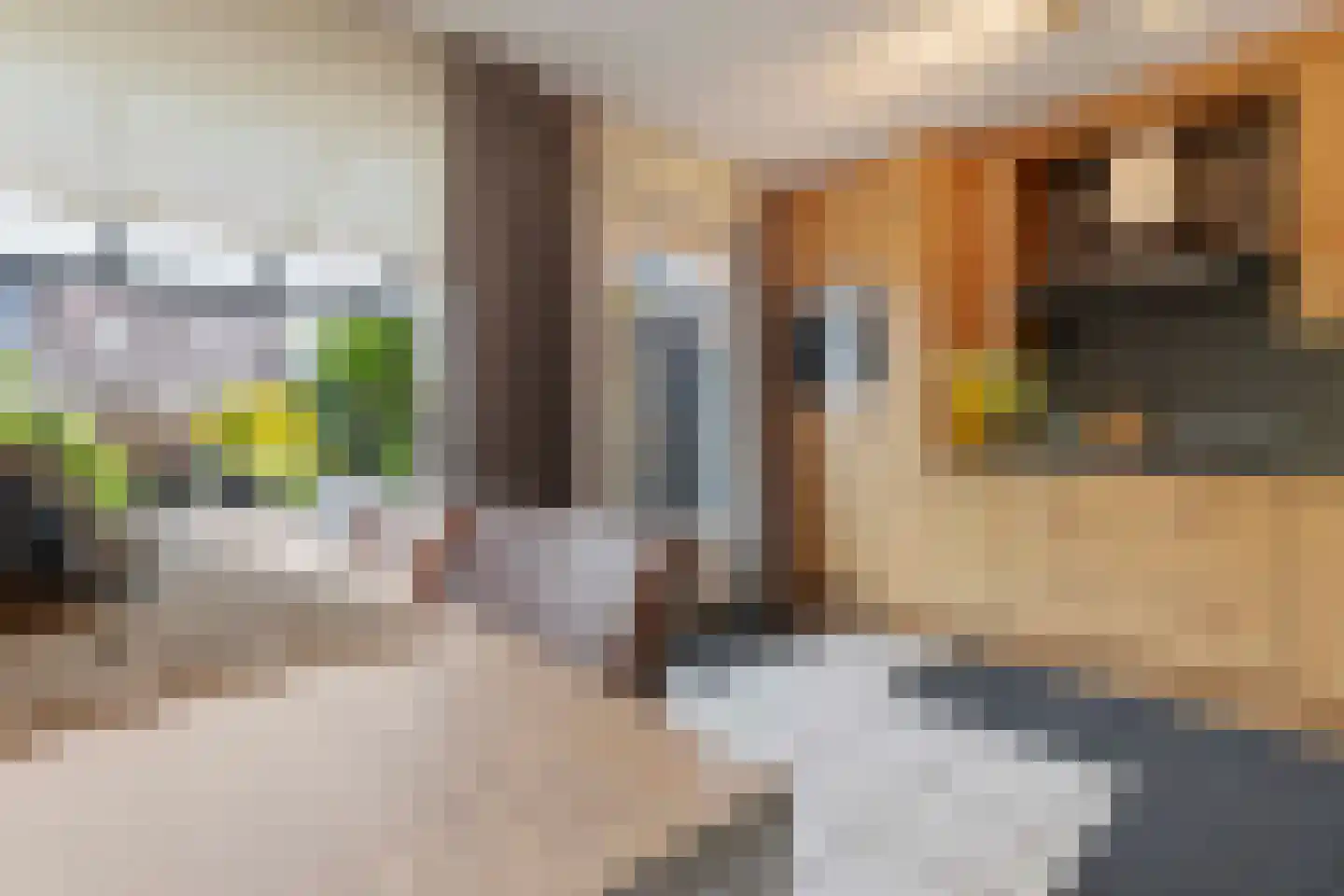 Haagbeuk 61 Venlo thumbnail 15