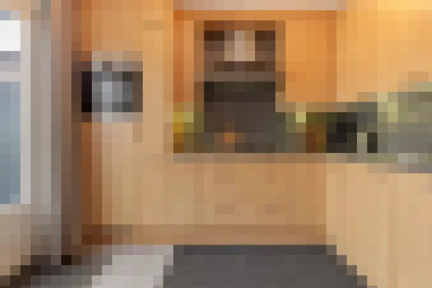 Haagbeuk 61 Venlo thumbnail 16