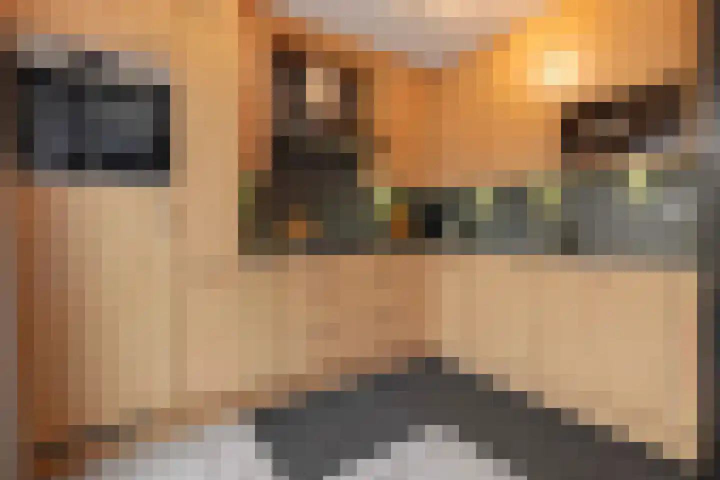 Haagbeuk 61 Venlo thumbnail 17