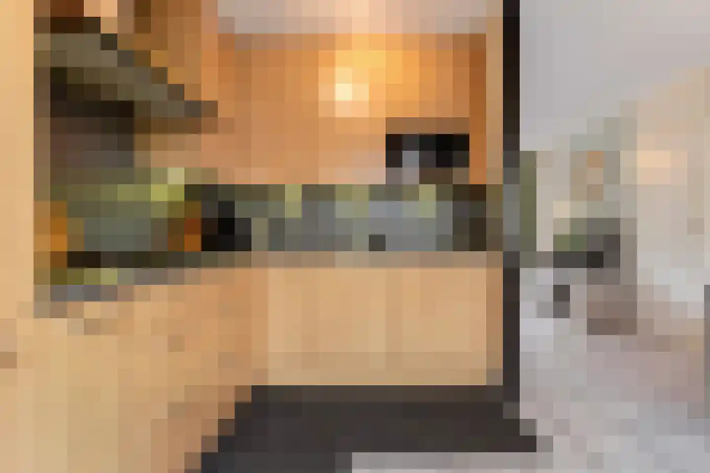 Haagbeuk 61 Venlo thumbnail 18