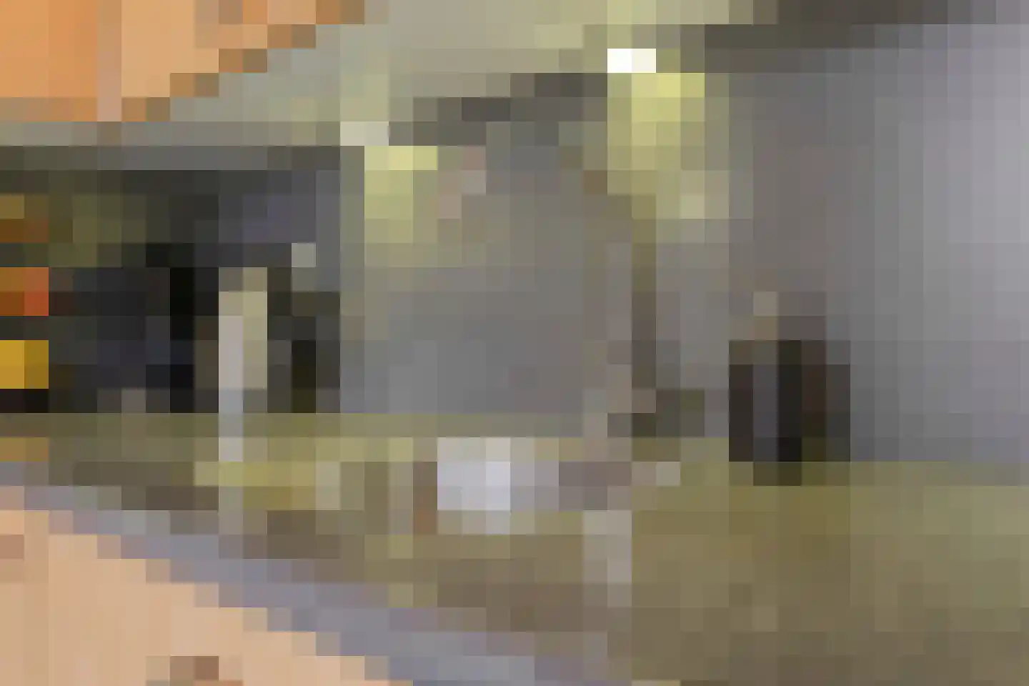Haagbeuk 61 Venlo thumbnail 19