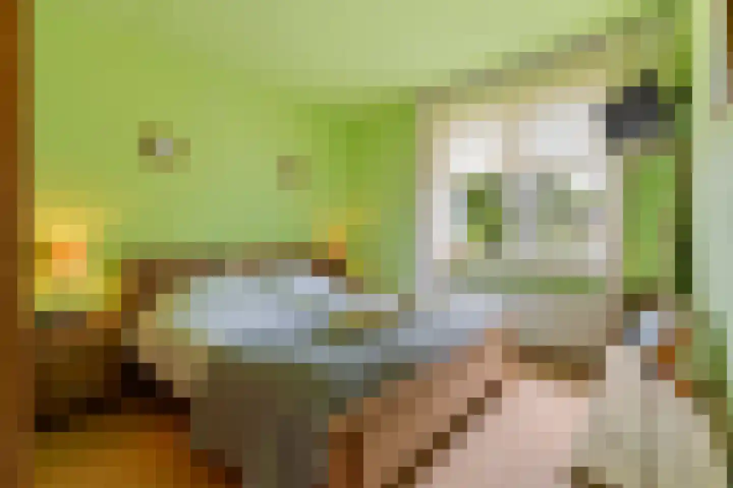 Haagbeuk 61 Venlo thumbnail 23