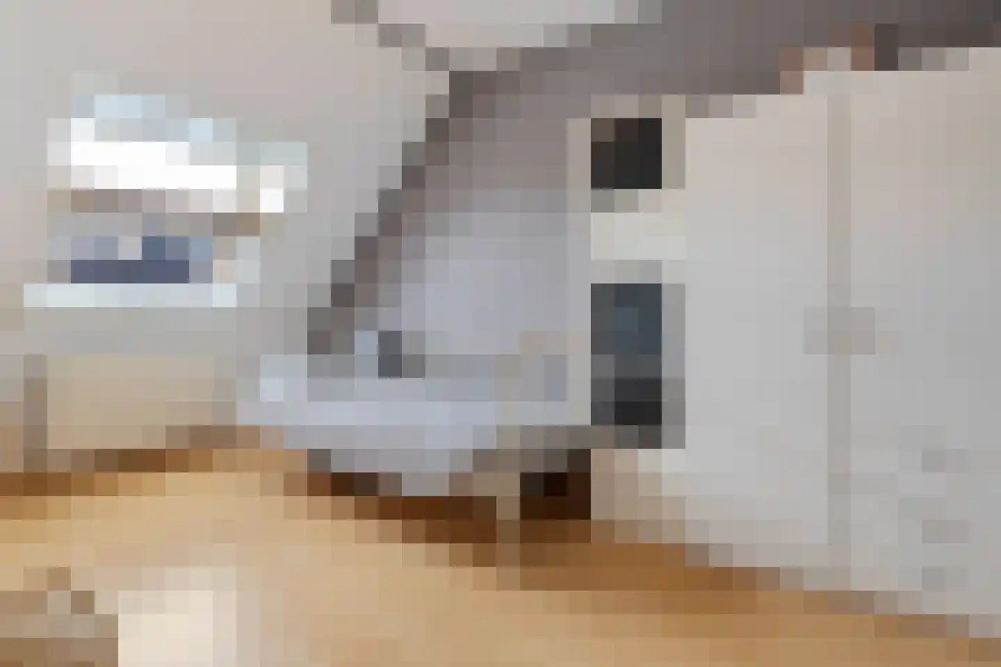 Haagbeuk 61 Venlo thumbnail 25