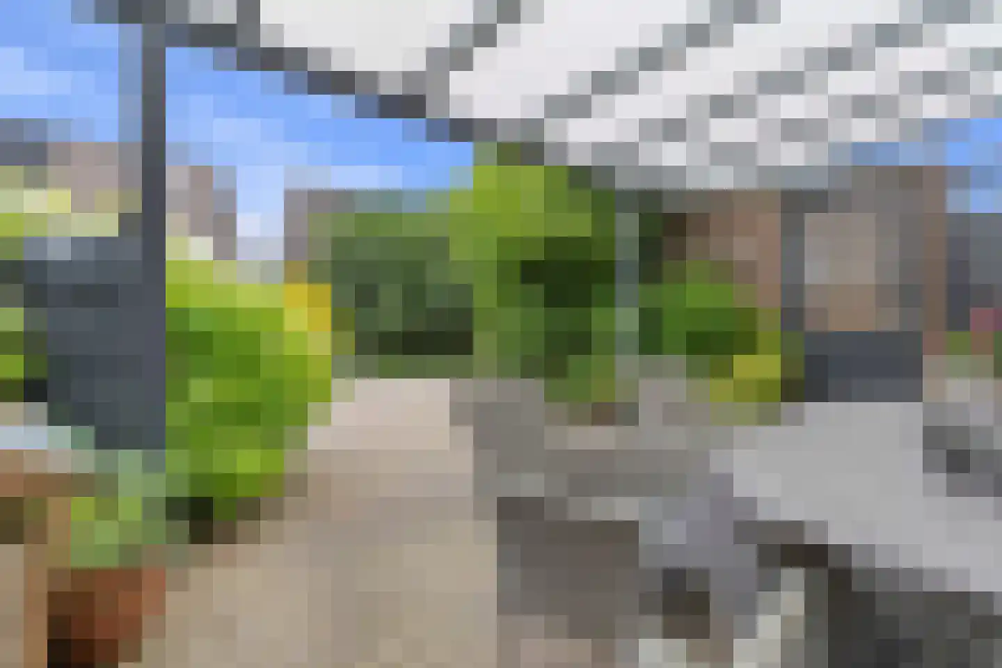 Haagbeuk 61 Venlo thumbnail 37