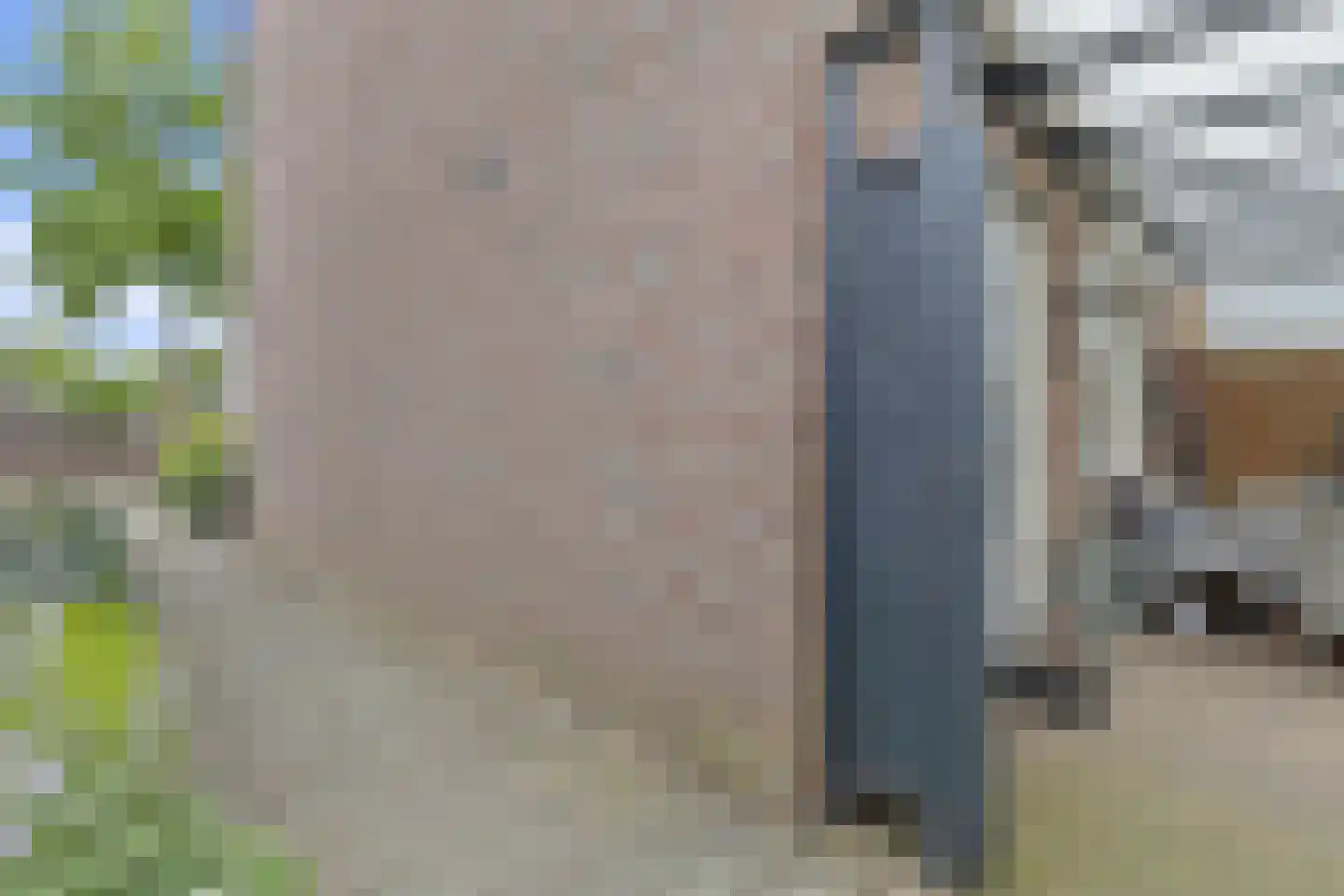 Haagbeuk 61 Venlo thumbnail 40