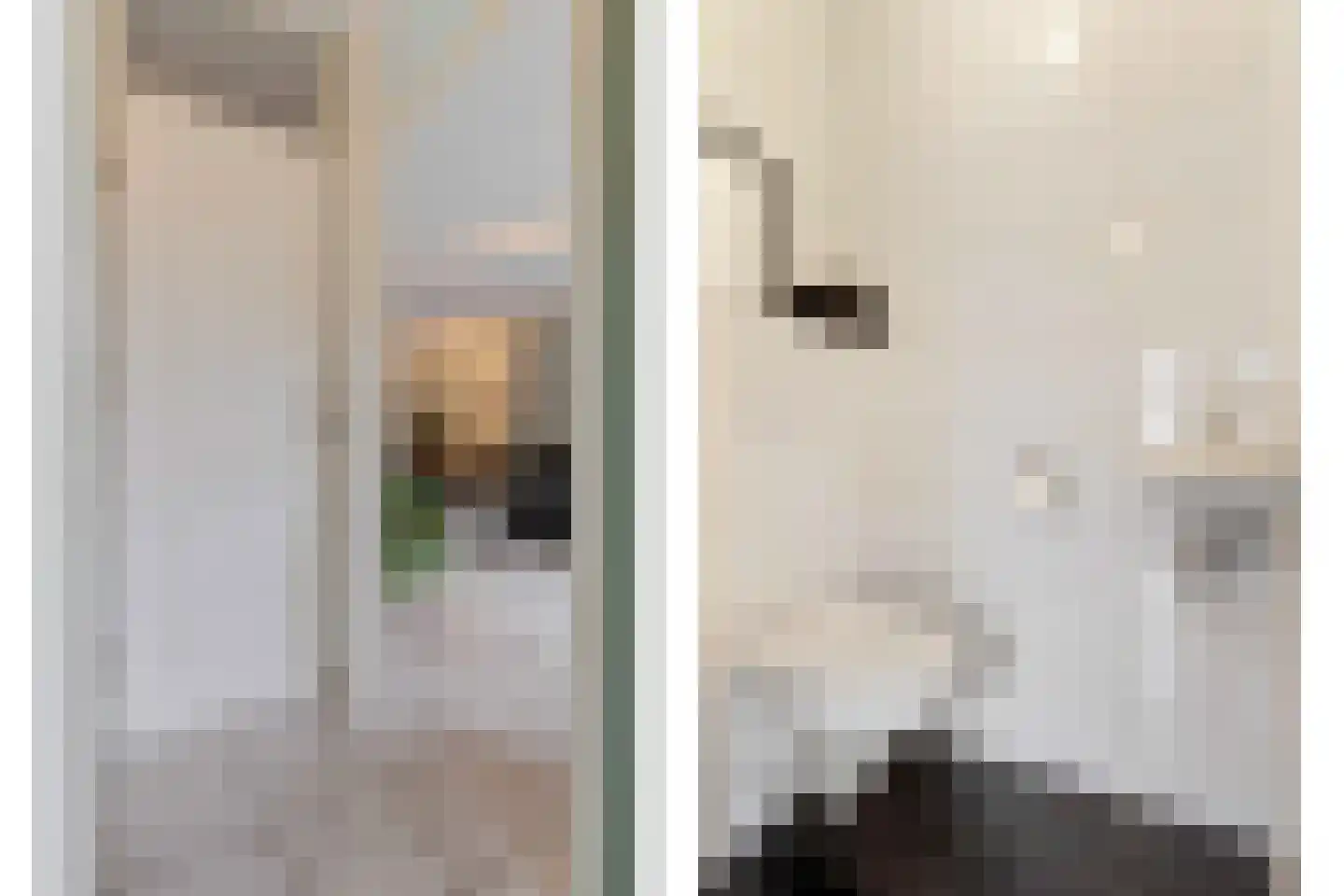Haagbeuk 61 Venlo thumbnail 5