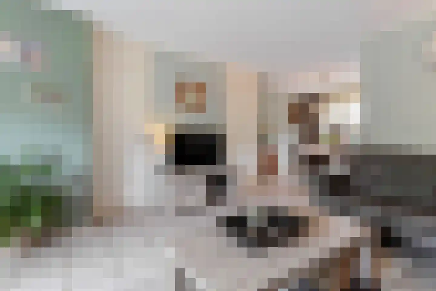 Haagbeuk 61 Venlo thumbnail 8