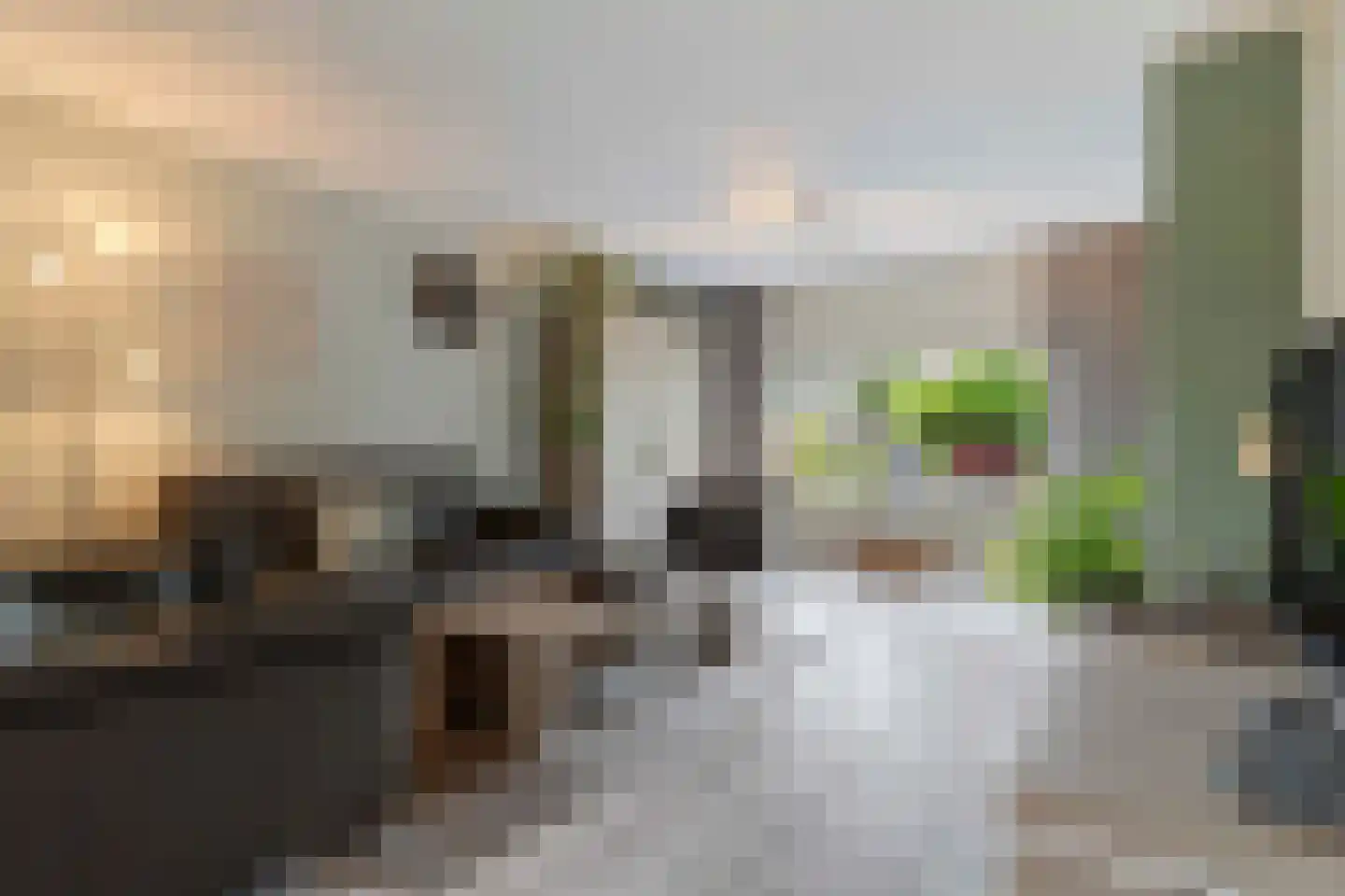 Haagbeuk 61 Venlo thumbnail 9