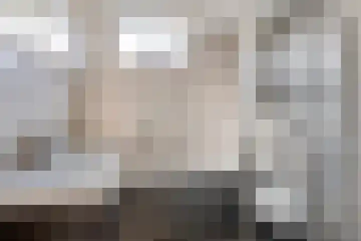 Haagbeuk 8 Best thumbnail 16