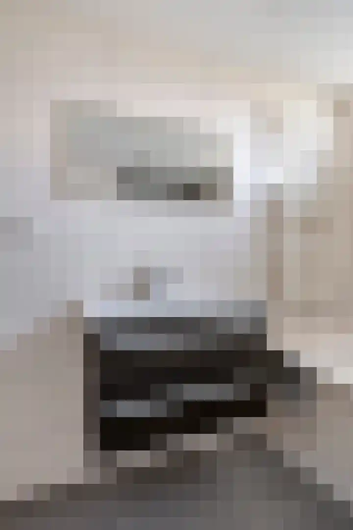 Haagbeuk 8 Best thumbnail 18