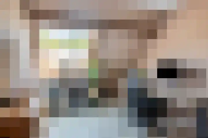 Haagbeuk 8 Best thumbnail 22