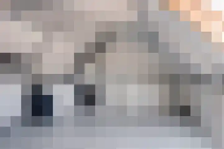 Haagbeuk 8 Best thumbnail 23