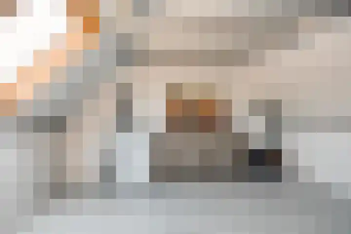 Haagbeuk 8 Best thumbnail 24