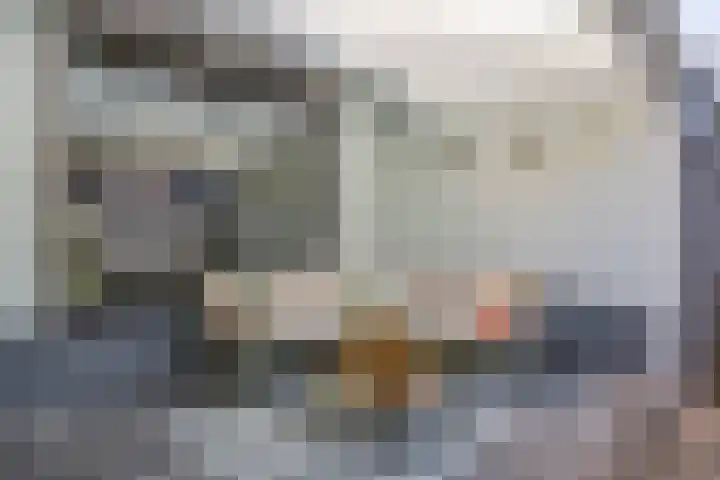 Haagbeuk 8 Best thumbnail 27