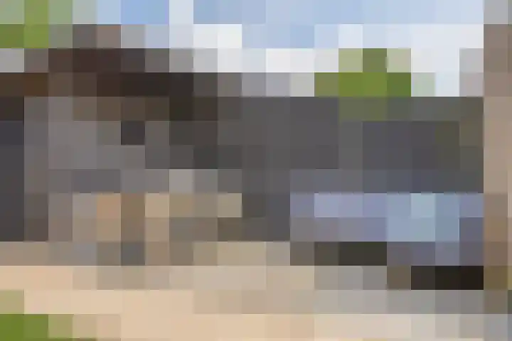 Haagbeuk 8 Best thumbnail 28