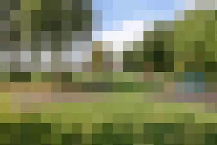 Haagbeuk 8 Best thumbnail 29