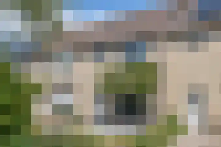 Haagbeuk 8 Best thumbnail 31