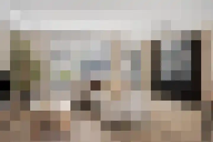 Haagbeuk 8 Best thumbnail 5