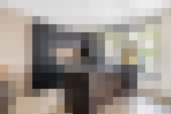 Haagbeuk 8 Best thumbnail 9