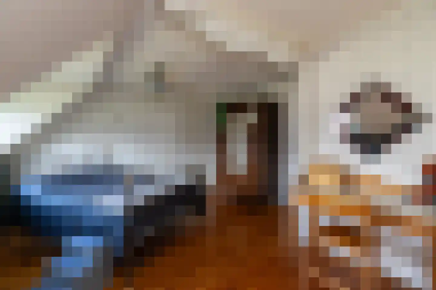 Haagbeukhof 175 Papendrecht thumbnail 10