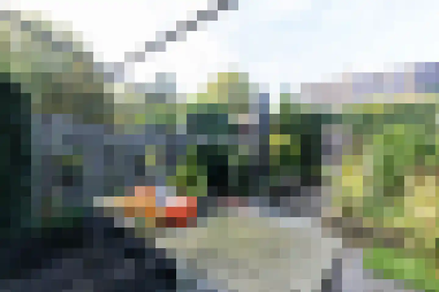 Haagbeukhof 175 Papendrecht thumbnail 19