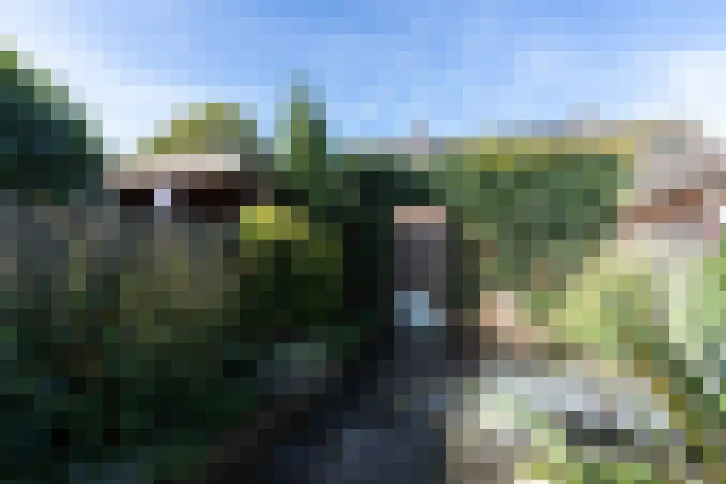 Haagbeukhof 175 Papendrecht thumbnail 23