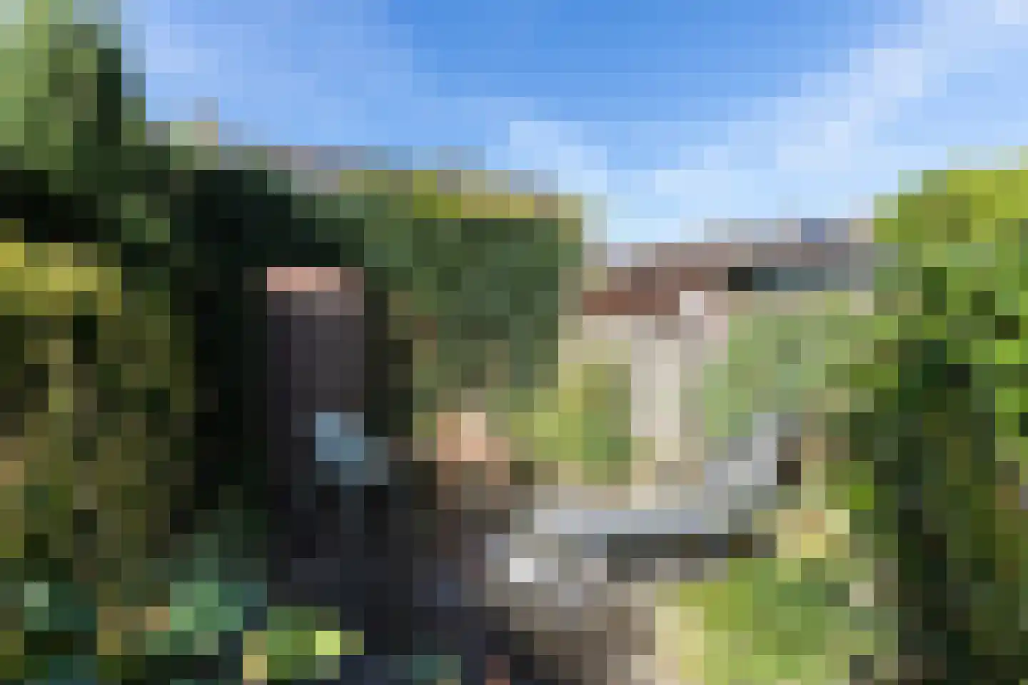 Haagbeukhof 175 Papendrecht thumbnail 8