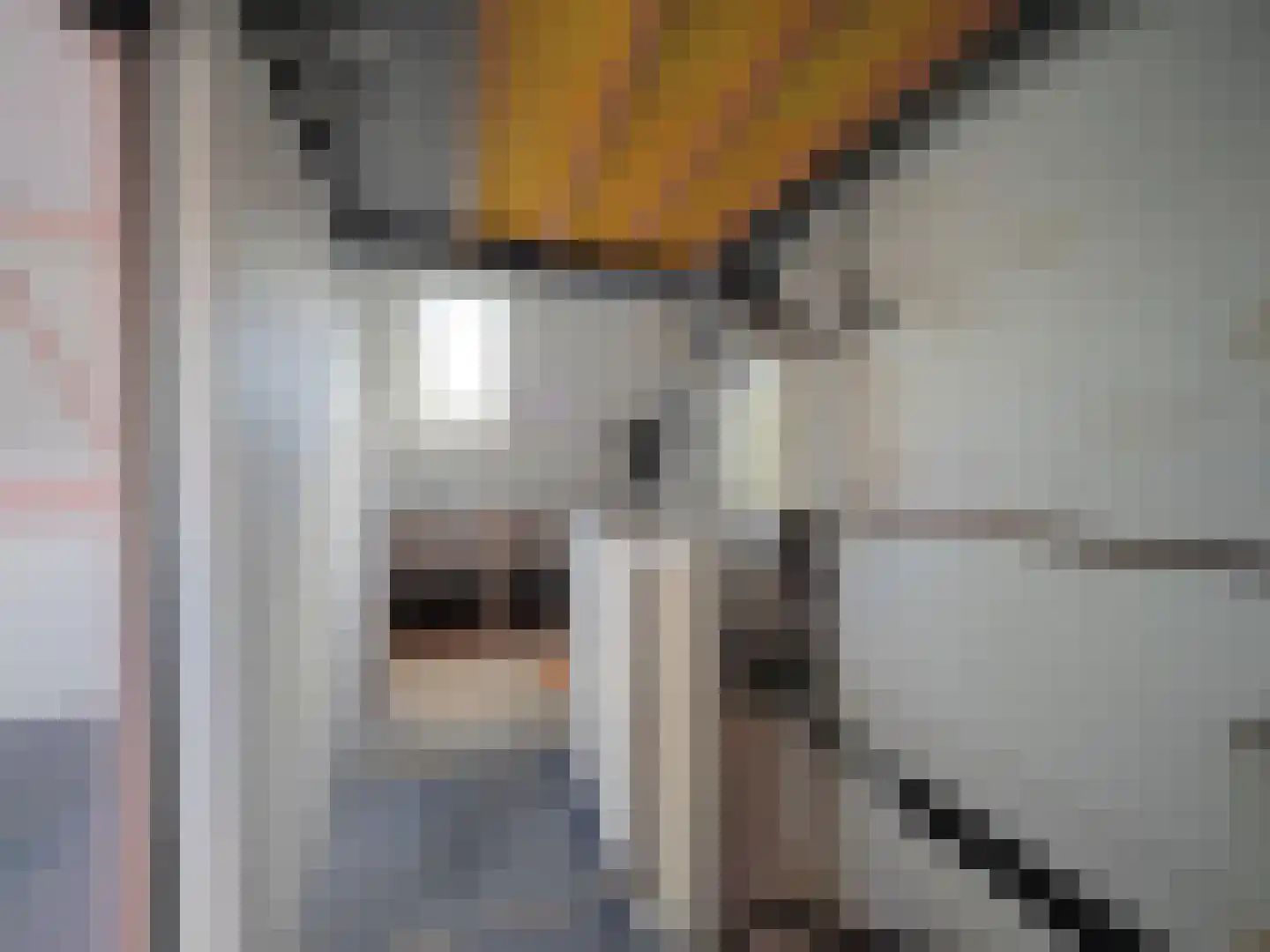 Haagbeukhof 191 Papendrecht thumbnail 26