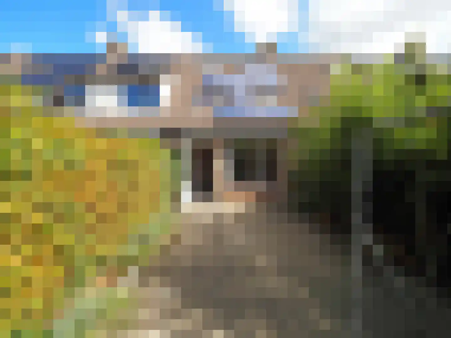 Haagbeukhof 191 Papendrecht thumbnail 29