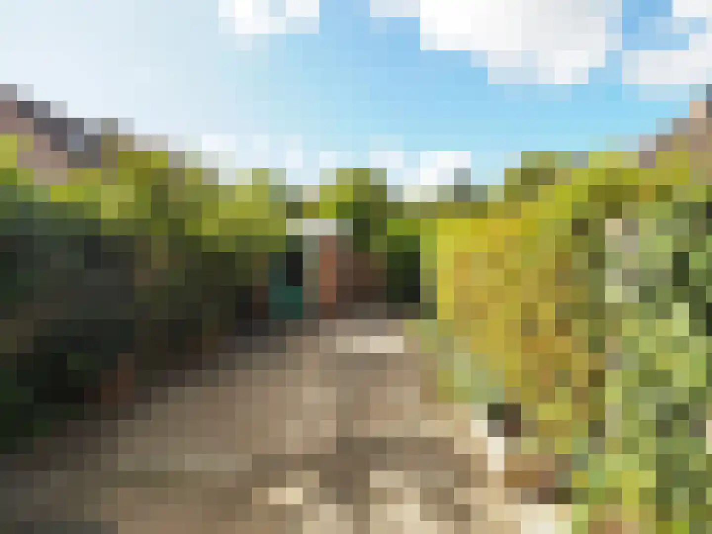 Haagbeukhof 191 Papendrecht thumbnail 31