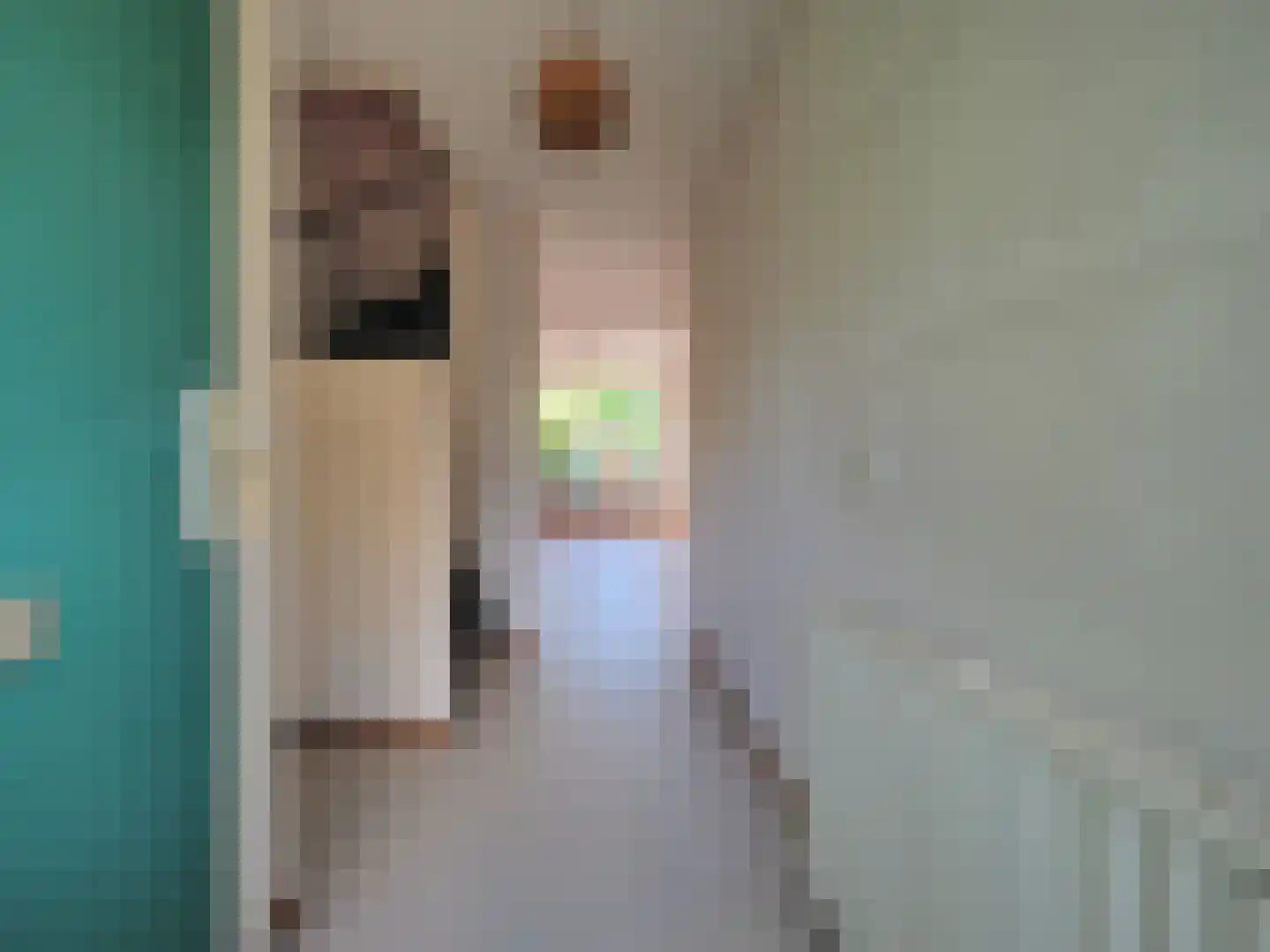 Haagbeukhof 191 Papendrecht thumbnail 5