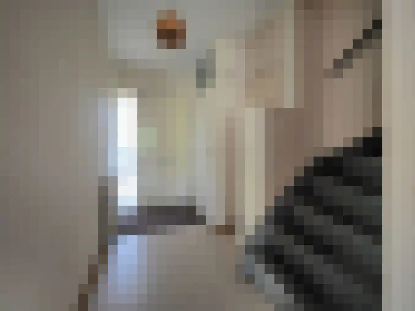 Haagbeukhof 191 Papendrecht thumbnail 6