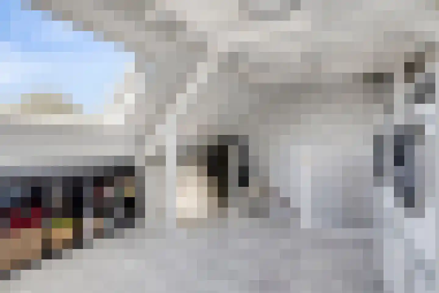 Haagbeukhof 193 Papendrecht thumbnail 25
