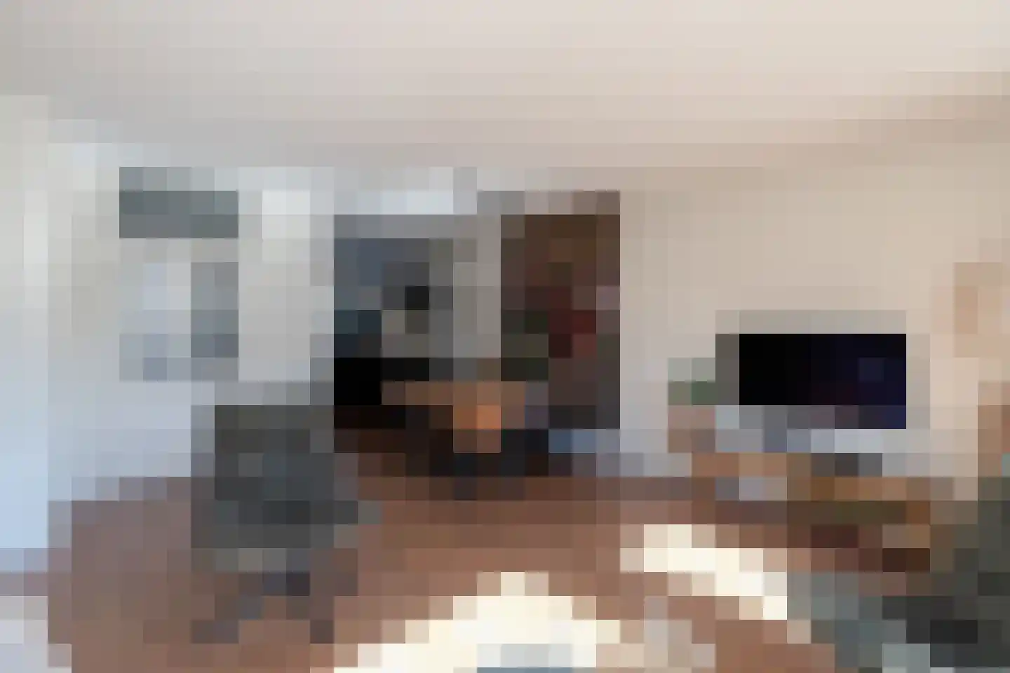 Haagbeukhof 201 Papendrecht thumbnail 10