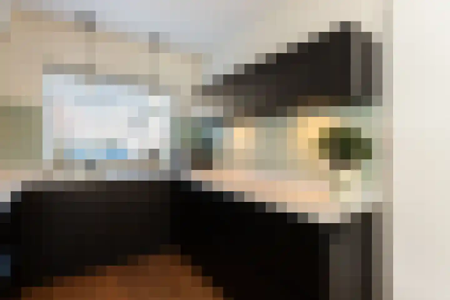 Haagbeukhof 201 Papendrecht thumbnail 12
