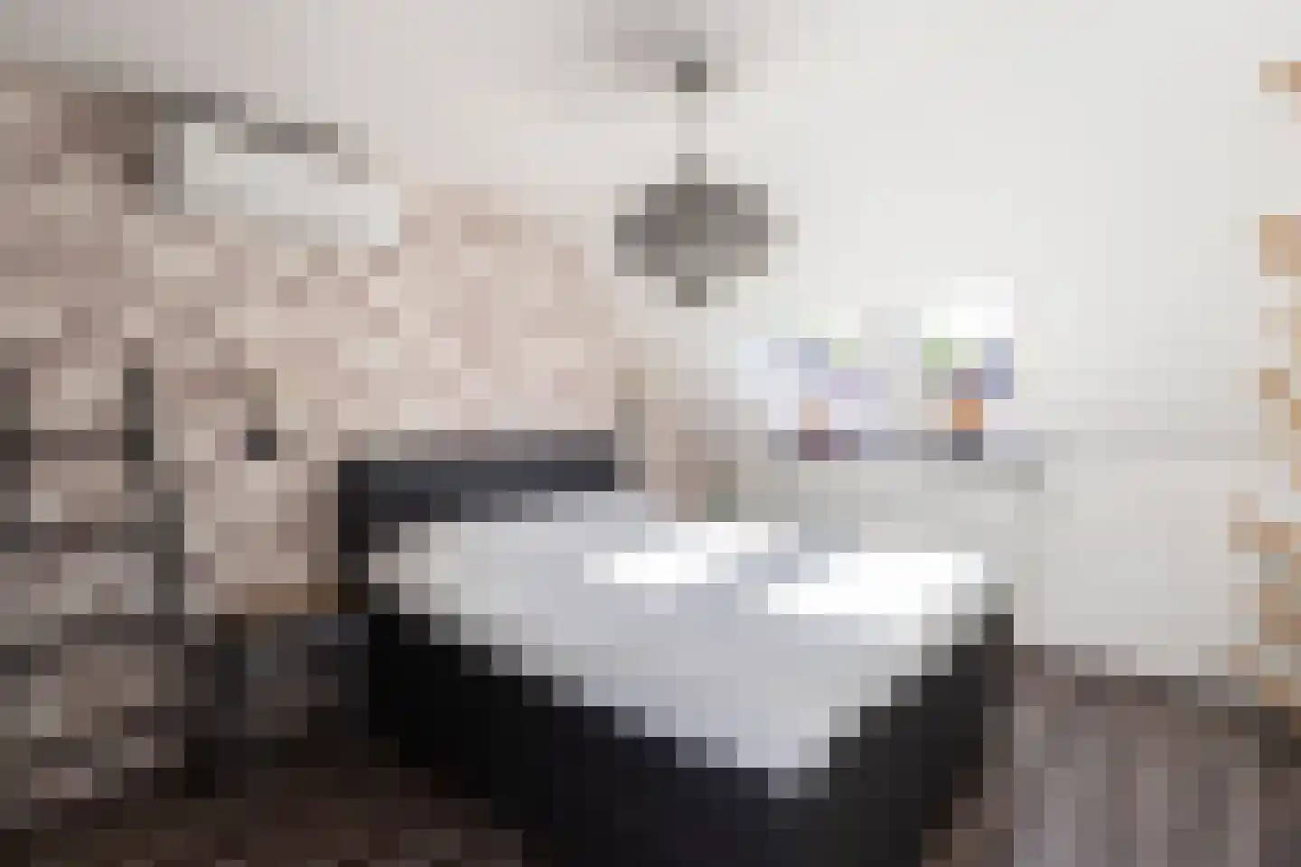 Haagbeukhof 201 Papendrecht thumbnail 14