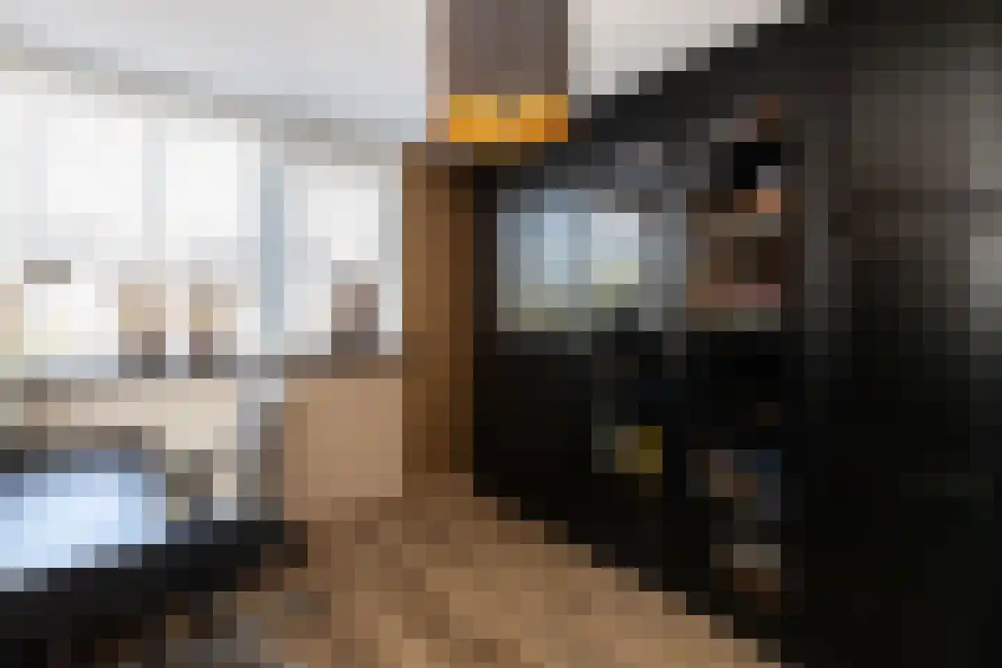 Haagbeukhof 201 Papendrecht thumbnail 16