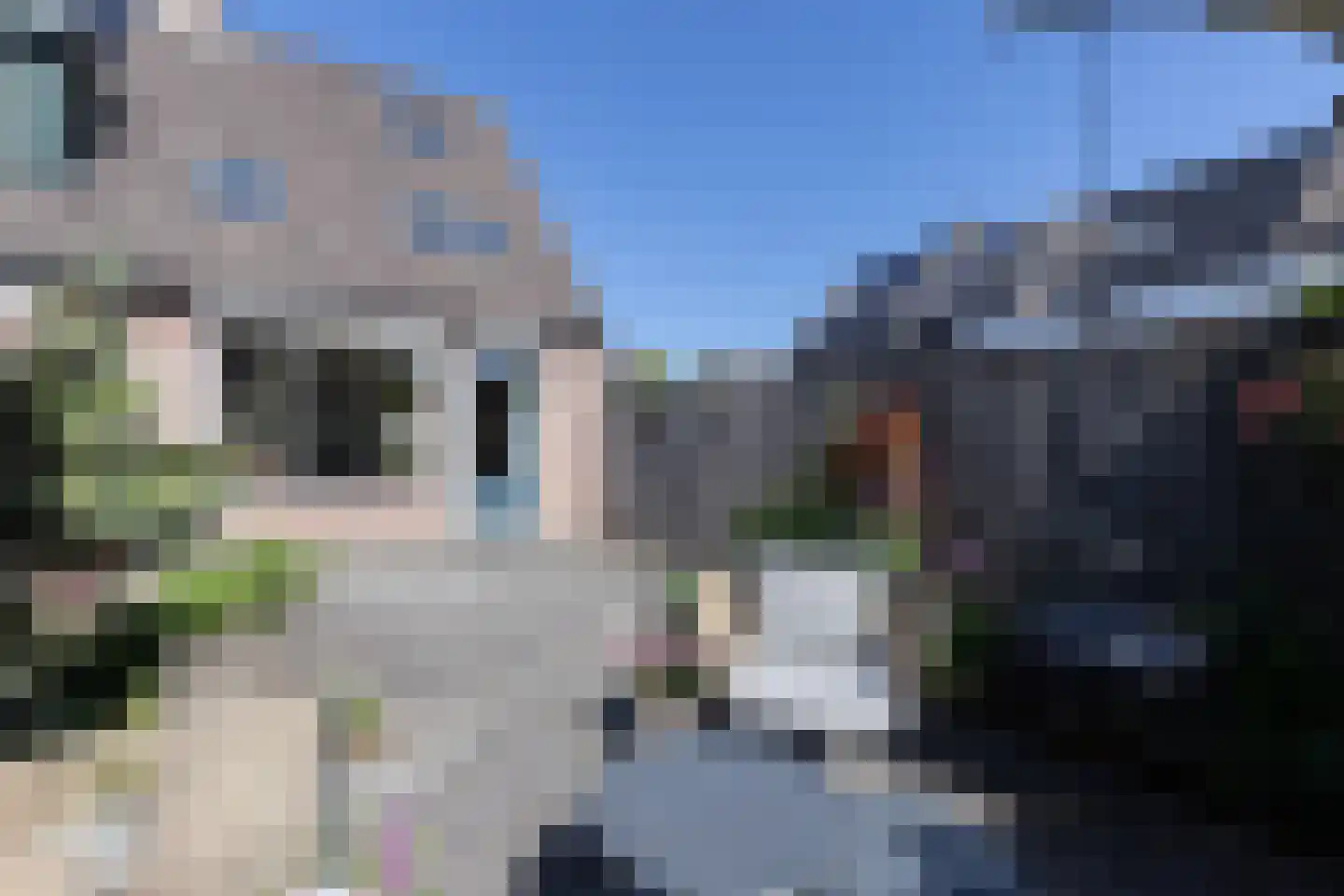 Haagbeukhof 201 Papendrecht thumbnail 26
